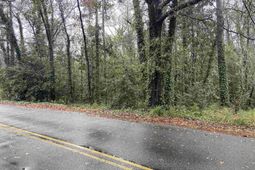 1951 Forest Drive  photo 4