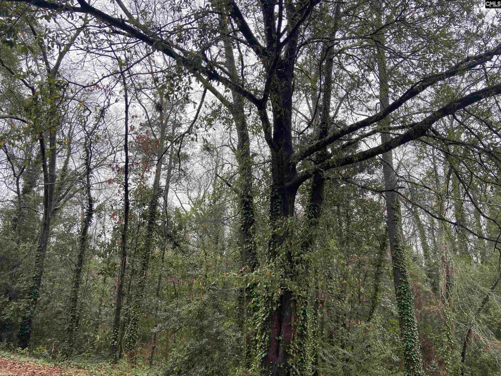 1951 Forest Drive  Photo 4