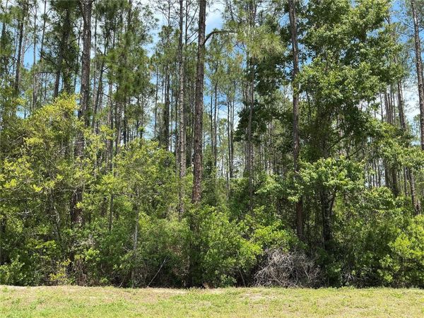 4430 VICKI STREET , HASTINGS, FL 32145