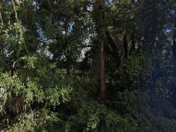 NE 234TH PLACE ROAD , FORT MC COY, FL 32134