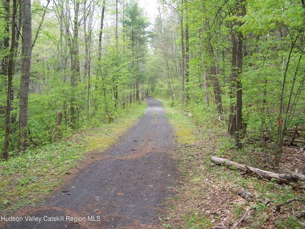 Tbd Heinle Road, Hurley, NY 12401