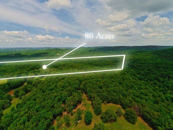 298 Eaton Run , Wasola, MO 65773