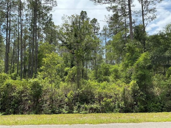 4365 VICKI STREET , HASTINGS, FL 32145