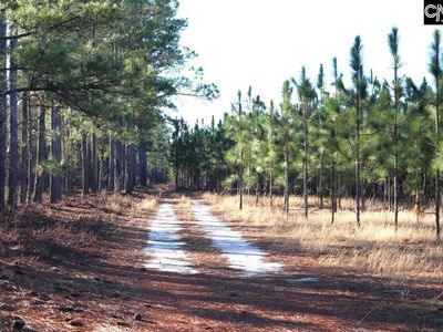 Holstein Road , Wagener, SC 29164