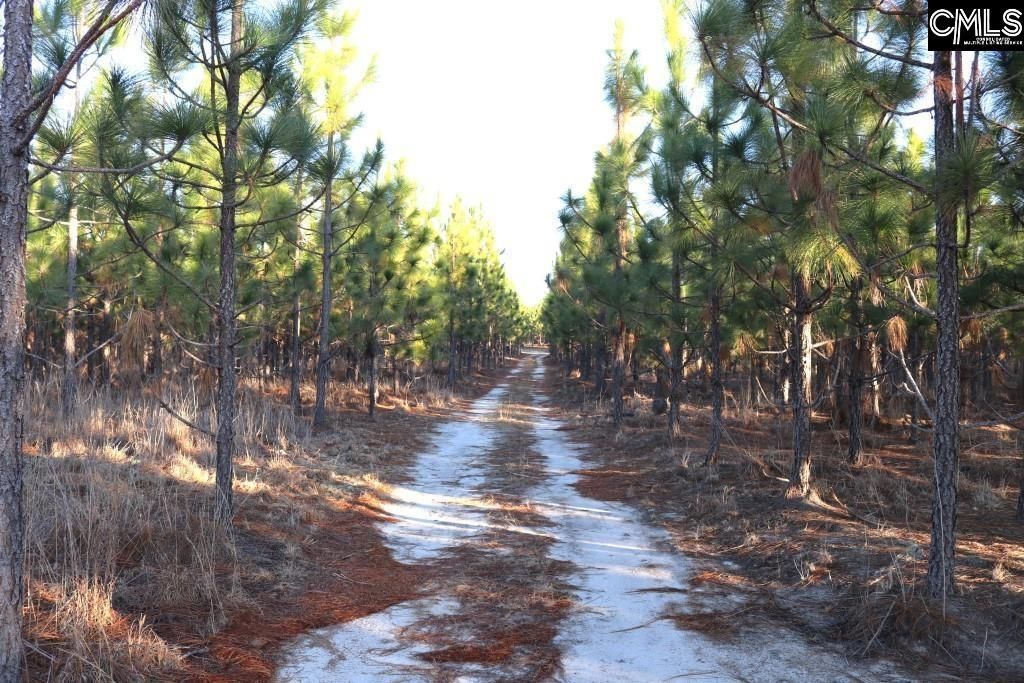 Holstein Road  Photo 13