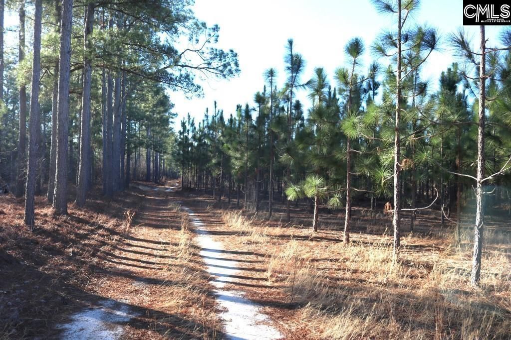 Holstein Road  Photo 14