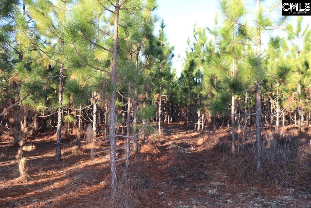 Holstein Road  Photo 20
