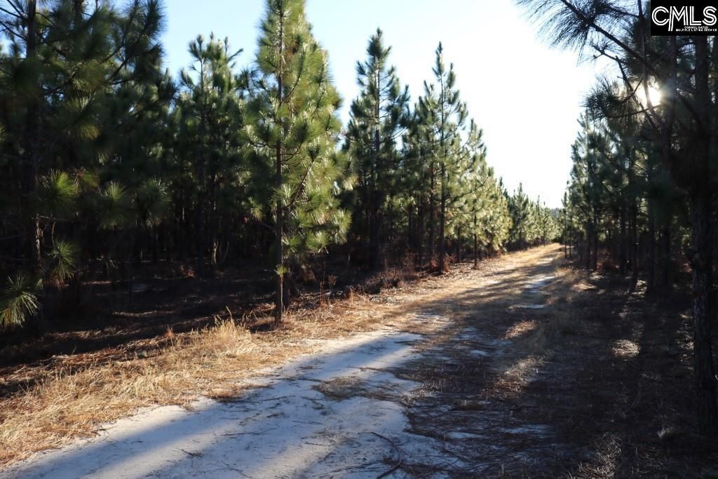 Holstein Road  Photo 24