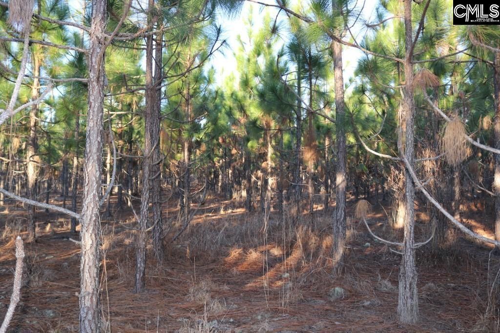 Holstein Road  Photo 25