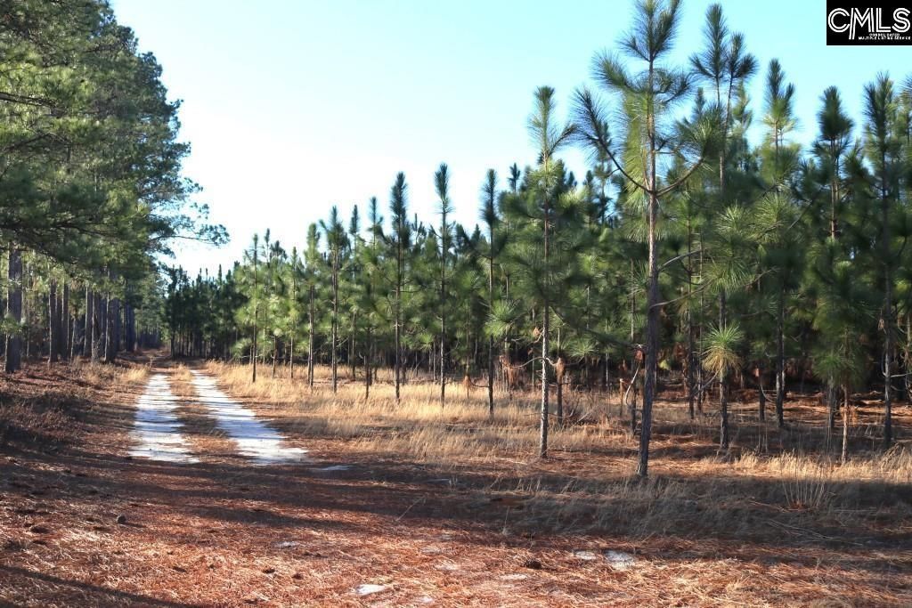Holstein Road  Photo 5