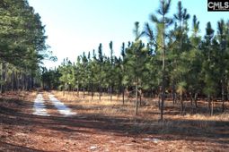 Holstein Road  photo 4