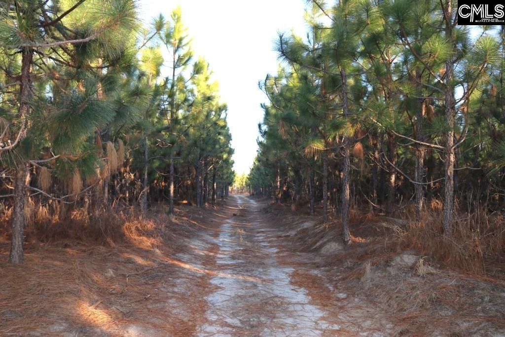Holstein Road  Photo 8