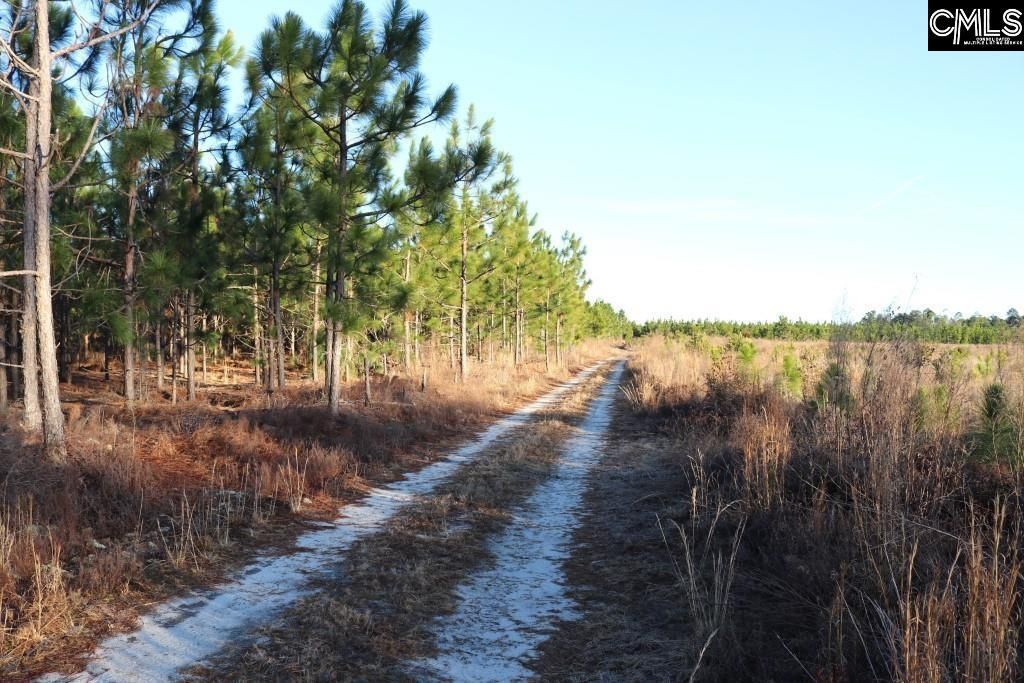 Holstein Road  Photo 9