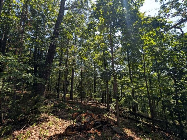 Canyon Village Road, Rogers, AR 72756