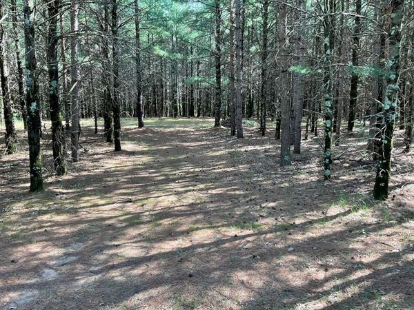 5.7 Acres Browndeer Avenue, Friendship, WI 53934