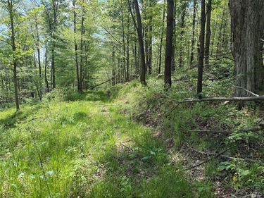 Dye Road , South Dayton, NY 14138