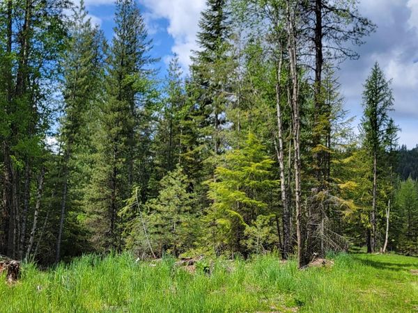 NNA Pup Paw Trail - North , Priest River, ID 83856