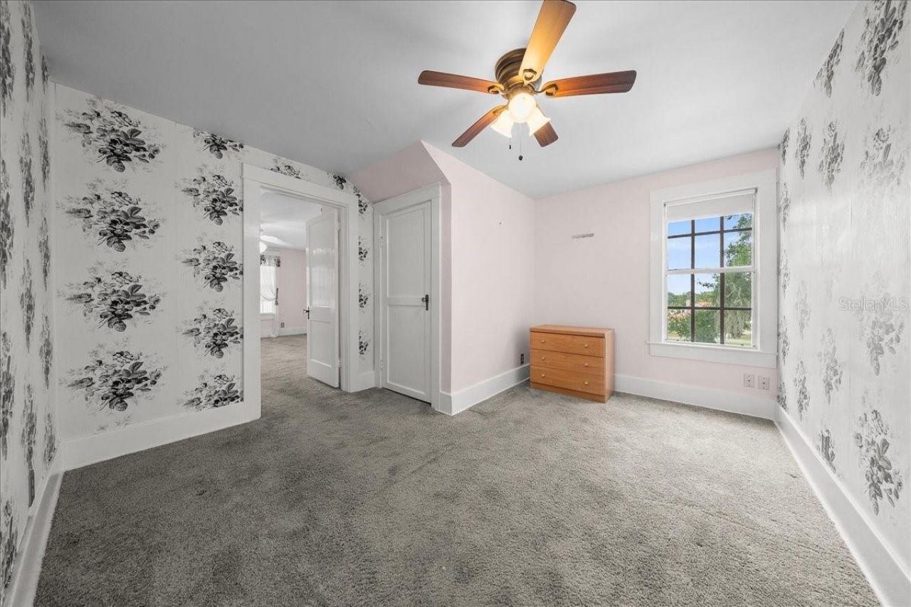 319 Carnation Court , Apopka, FL 32703 Photo
