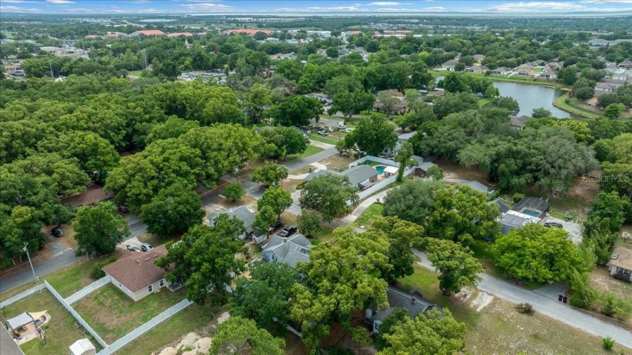 319 Carnation Court , Apopka, FL 32703 Photo