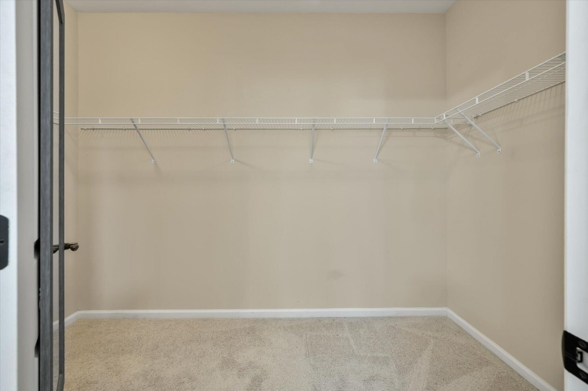 521 Tranquil Waters Way Photo 21