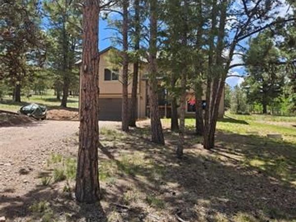 24 Big Horn Circle, Florissant, CO 80816