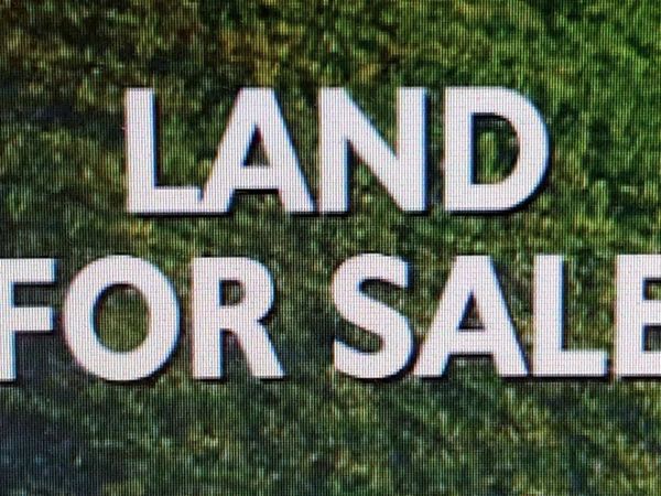 00 Hwy 101, Town Creek, AL 35672