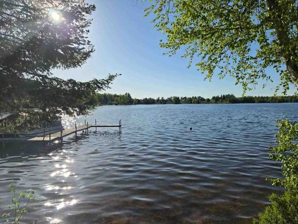 15966 Lakeview Drive, Wolverine, MI 49799