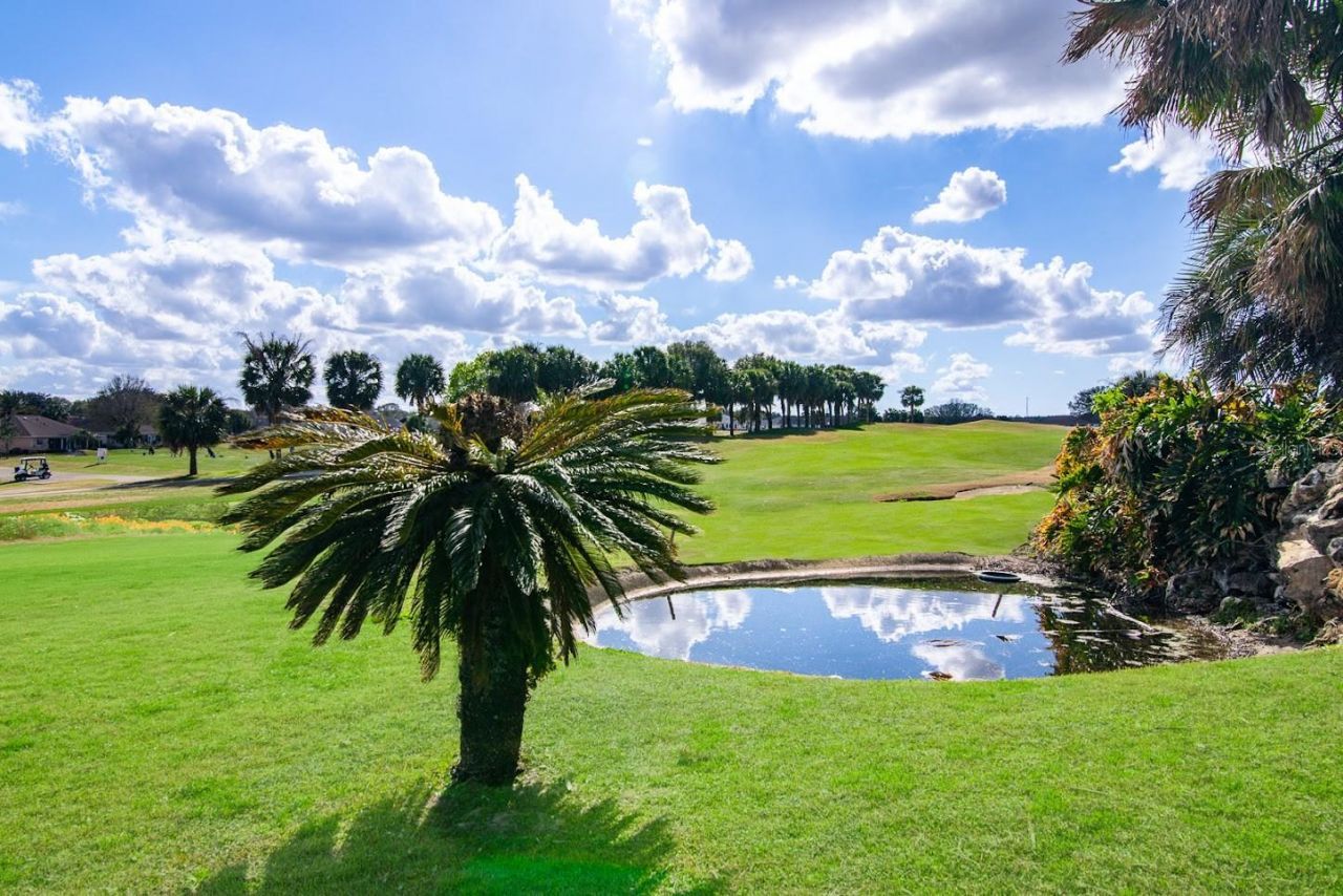 5915 NW 18th Place , Ocala, FL 34482 Photo