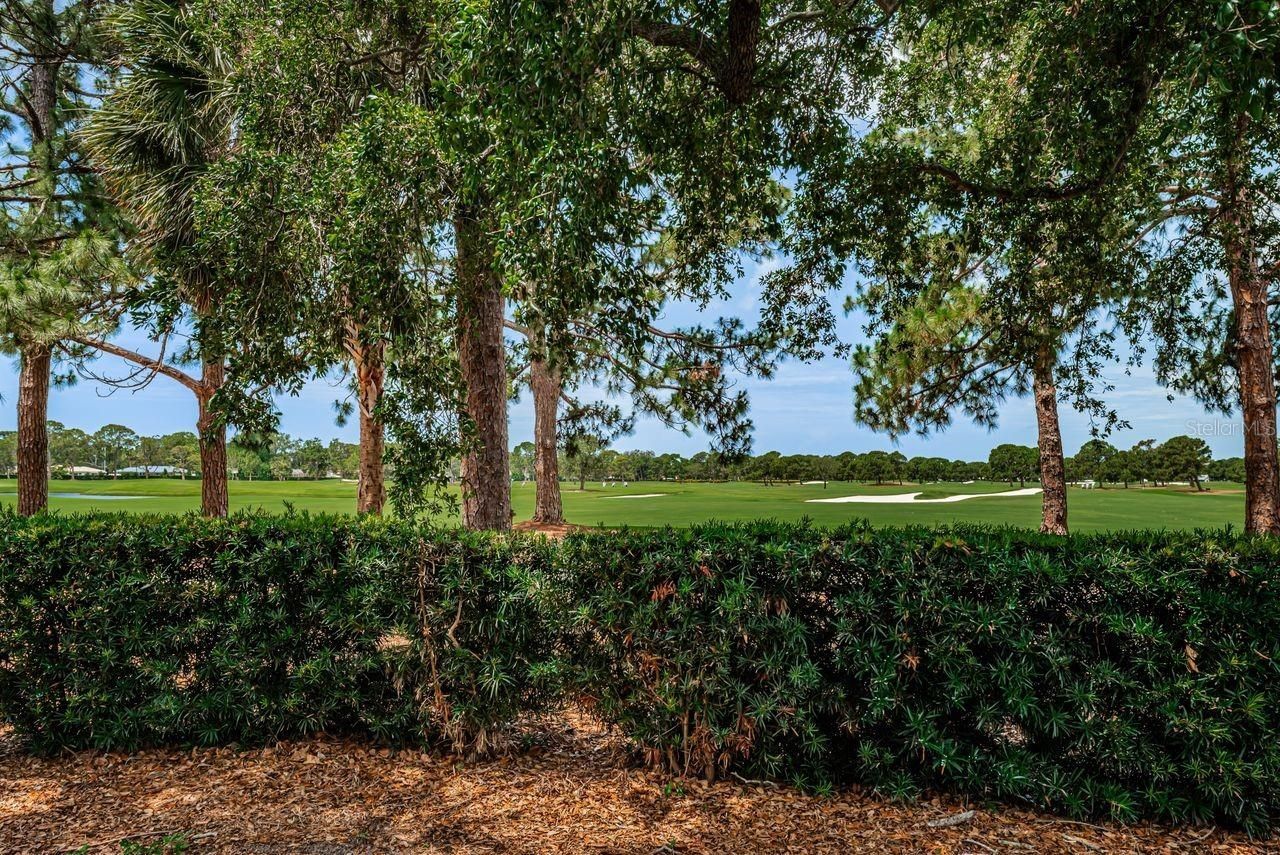 1704 Cypress Avenue, Belleair, FL 33756 Photo