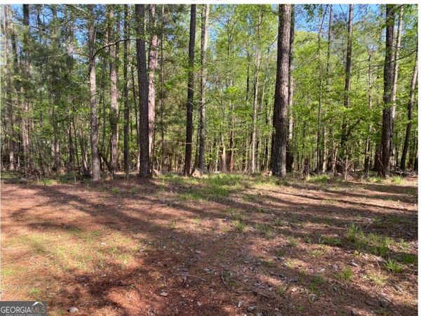 1021 Charles Court, Greensboro, GA 30642