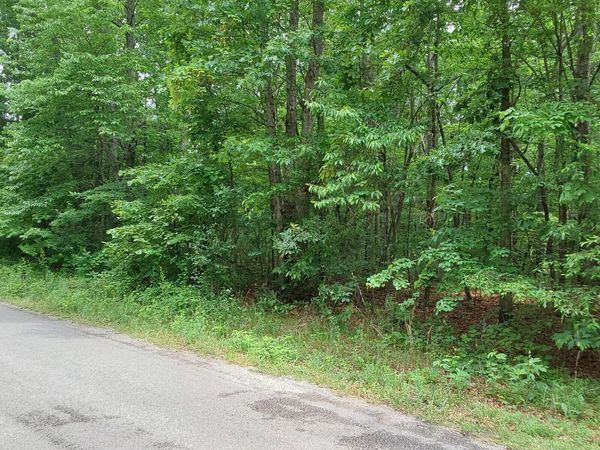 0 Gray Fox Drive, Crossville, TN 38555