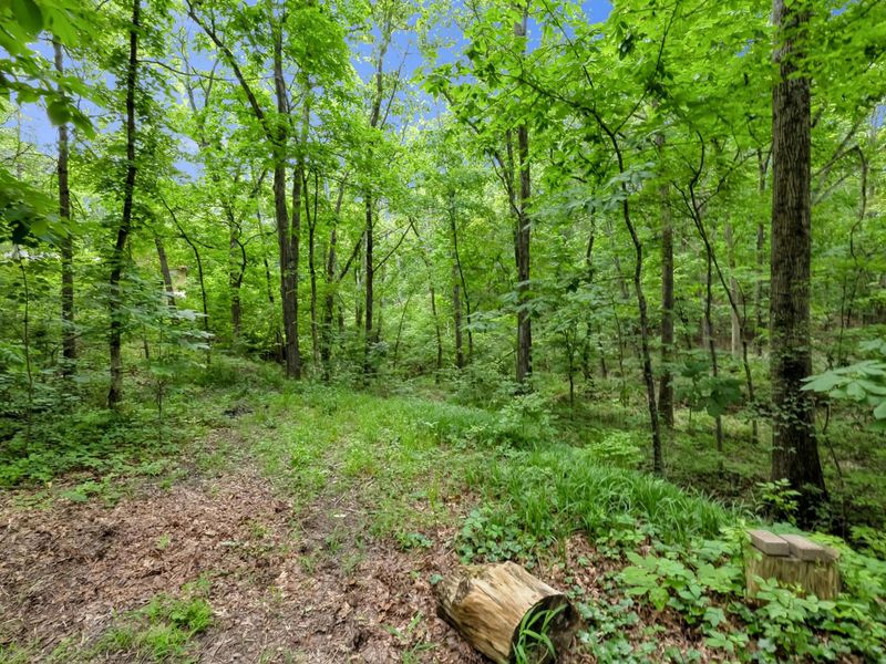 9280 White Oak Lane , Westerville, OH 43082 Photo 60