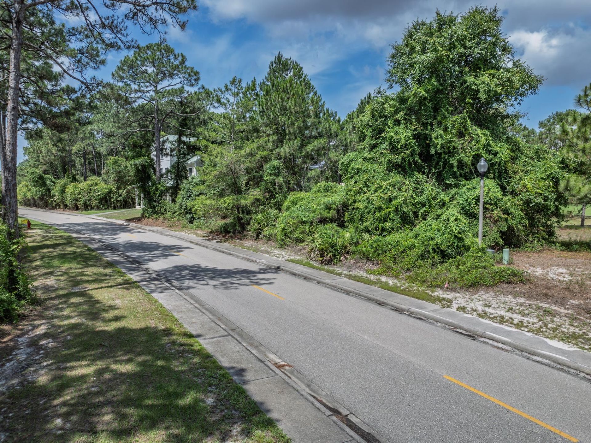 263 Royal Tern Way , , FL 32323 Photo