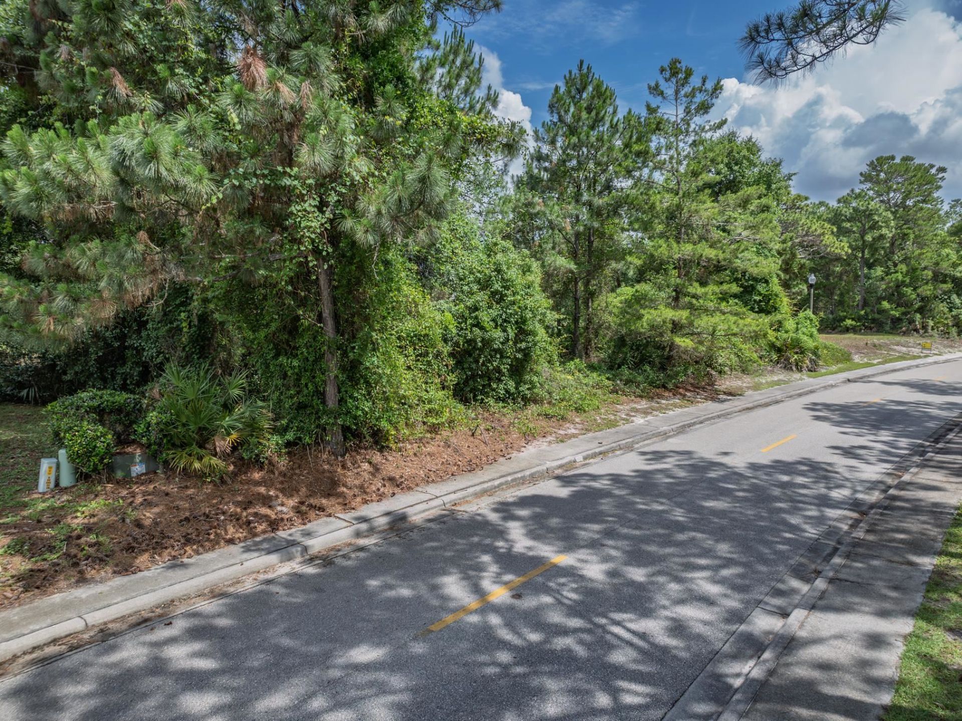 263 Royal Tern Way , , FL 32323 Photo