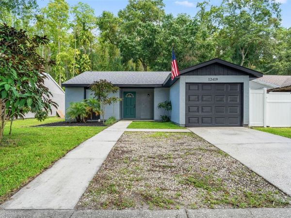 12419 HIDDEN BROOK DRIVE , TAMPA, FL 33624