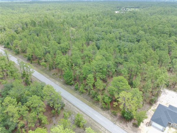 SW BUENA VISTA ROAD , DUNNELLON, FL 34431