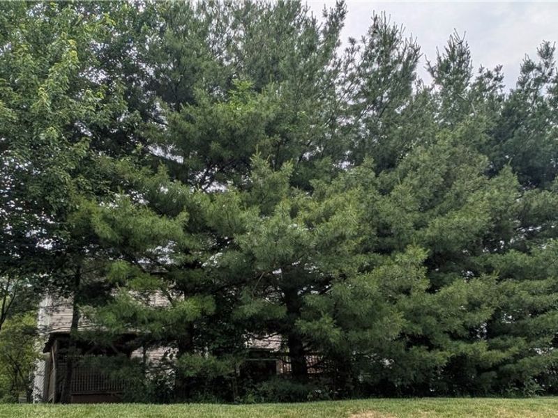 144 Royal Crest Drive, Unit O, Seville, OH 44273 Photo 5