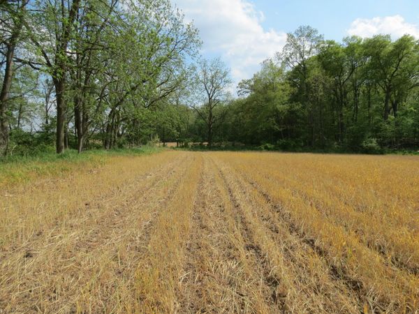 S Stoney Lake Road, Unit B, Jackson, MI 49201