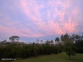 825 Faver Dykes Road, Saint Augustine, FL 32086 Photo