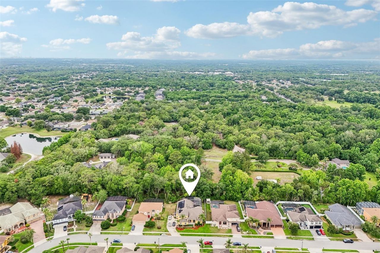 1344 Tall Maple Loop , Oviedo, FL 32765 Photo
