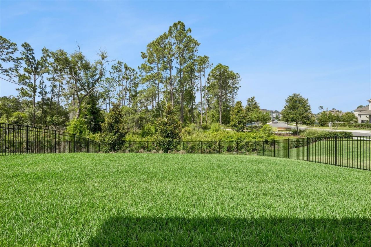 18422 Oliver Twist Way , Winter Garden, FL 34787 Photo