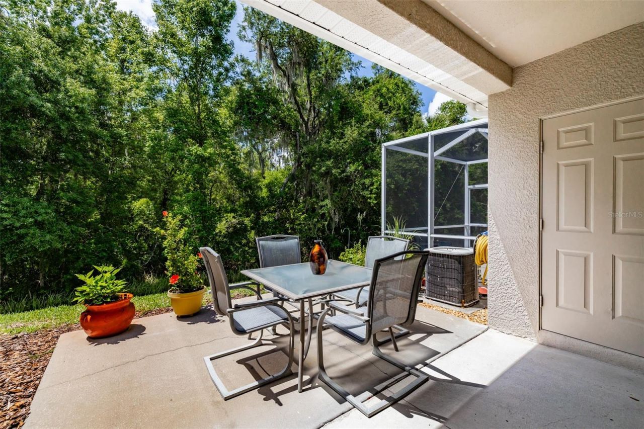 15911 Fishhawk View Drive , Lithia, FL 33547 Photo