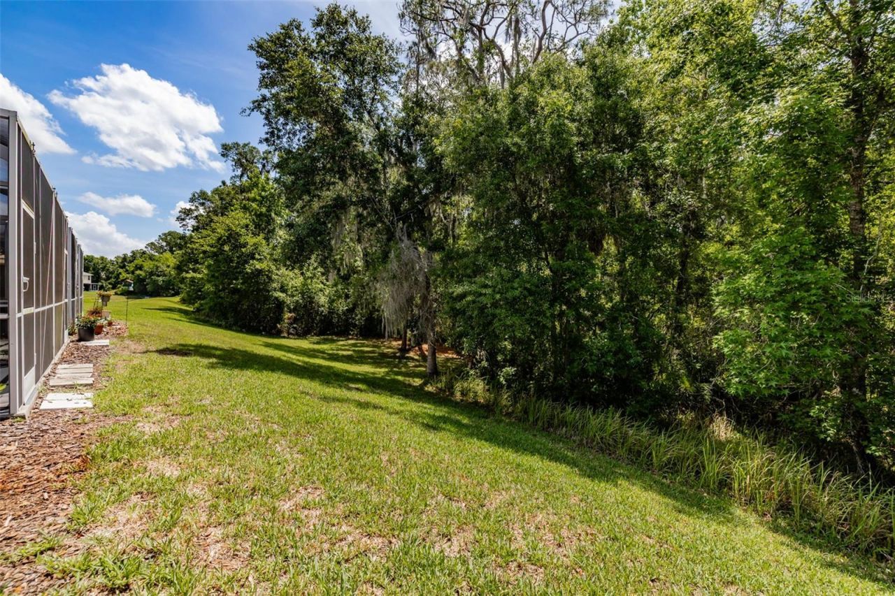 15911 Fishhawk View Drive , Lithia, FL 33547 Photo