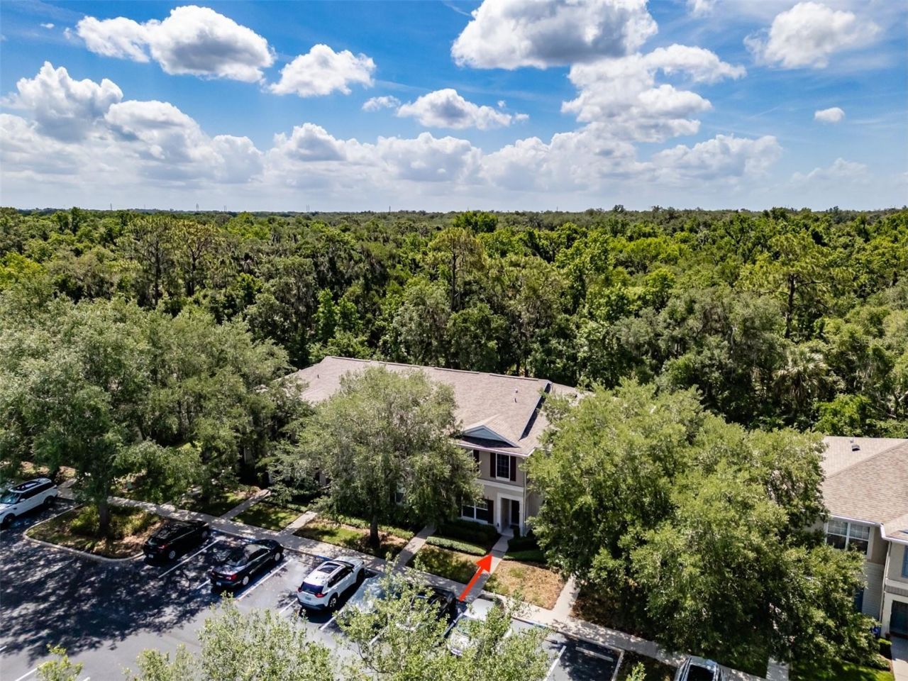 15911 Fishhawk View Drive , Lithia, FL 33547 Photo