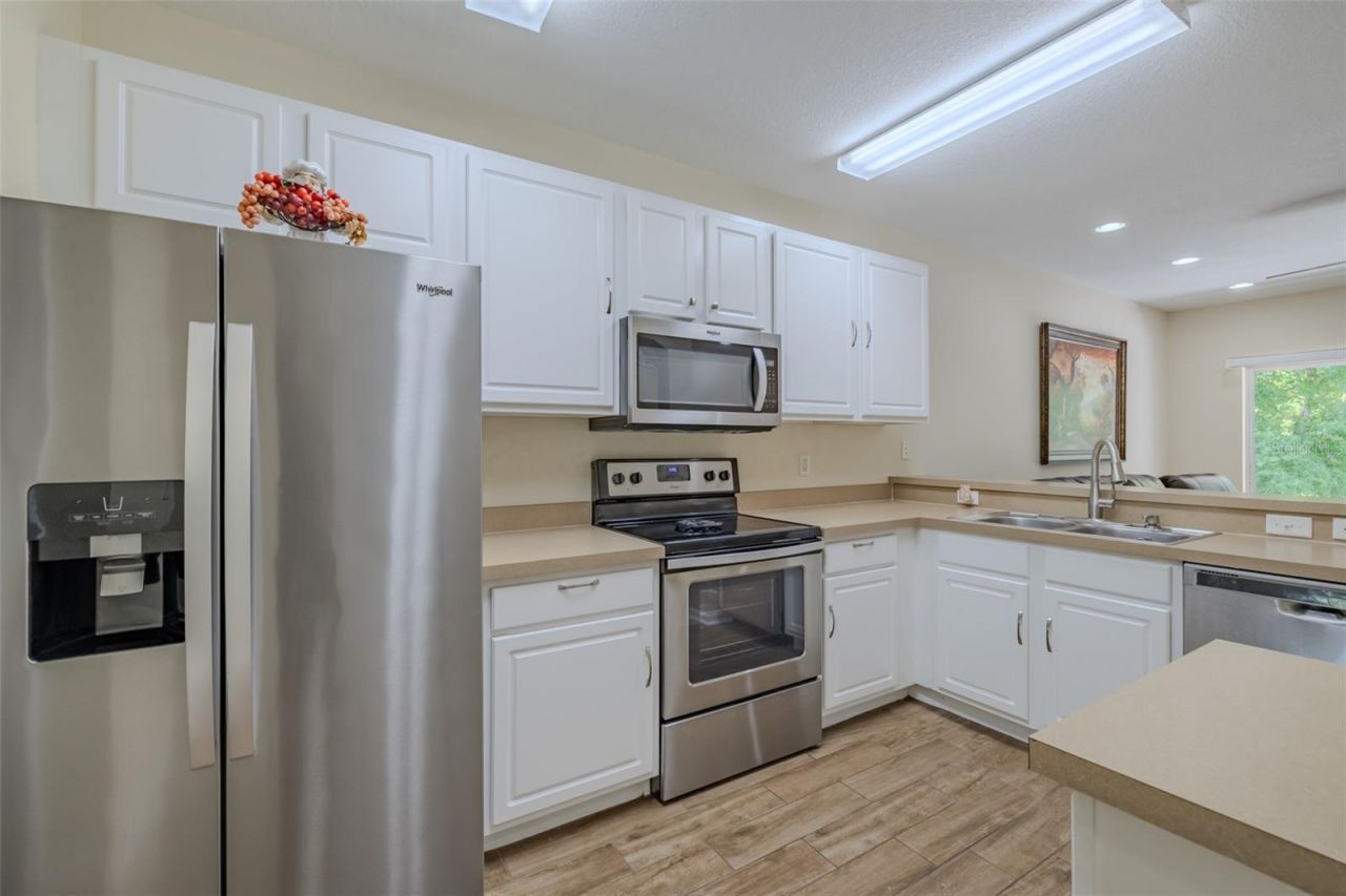 15911 Fishhawk View Drive , Lithia, FL 33547 Photo
