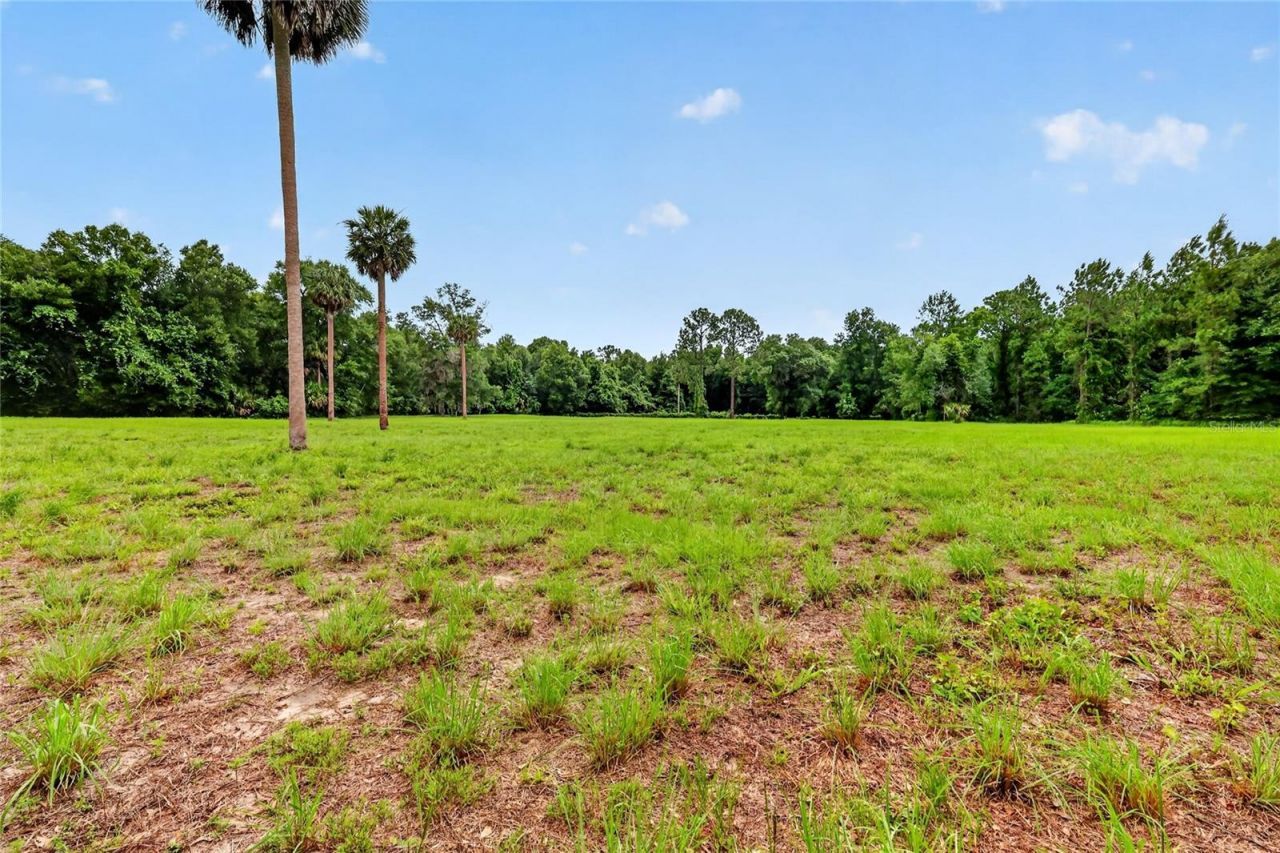 Kilker Road , Paisley, FL 32767 Photo