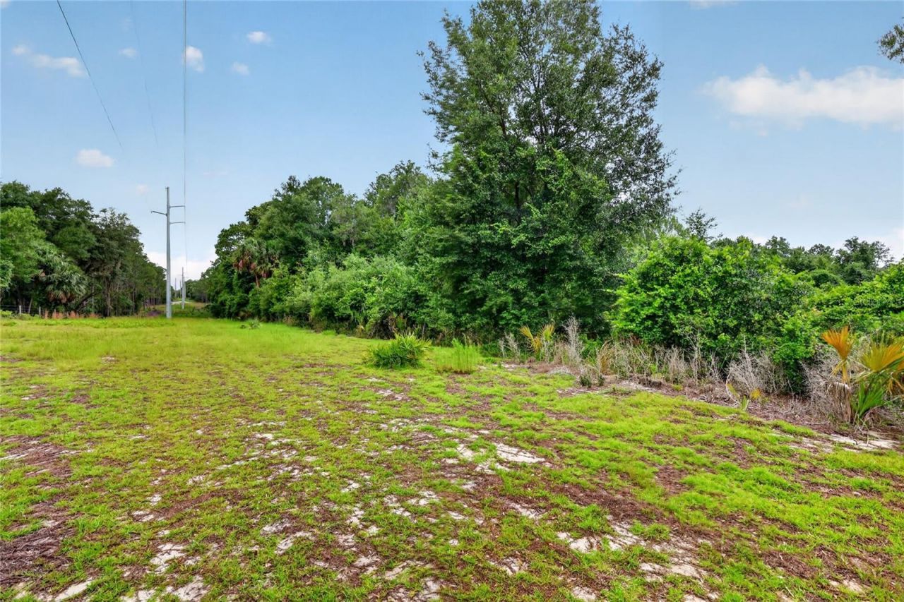 Kilker Road , Paisley, FL 32767 Photo