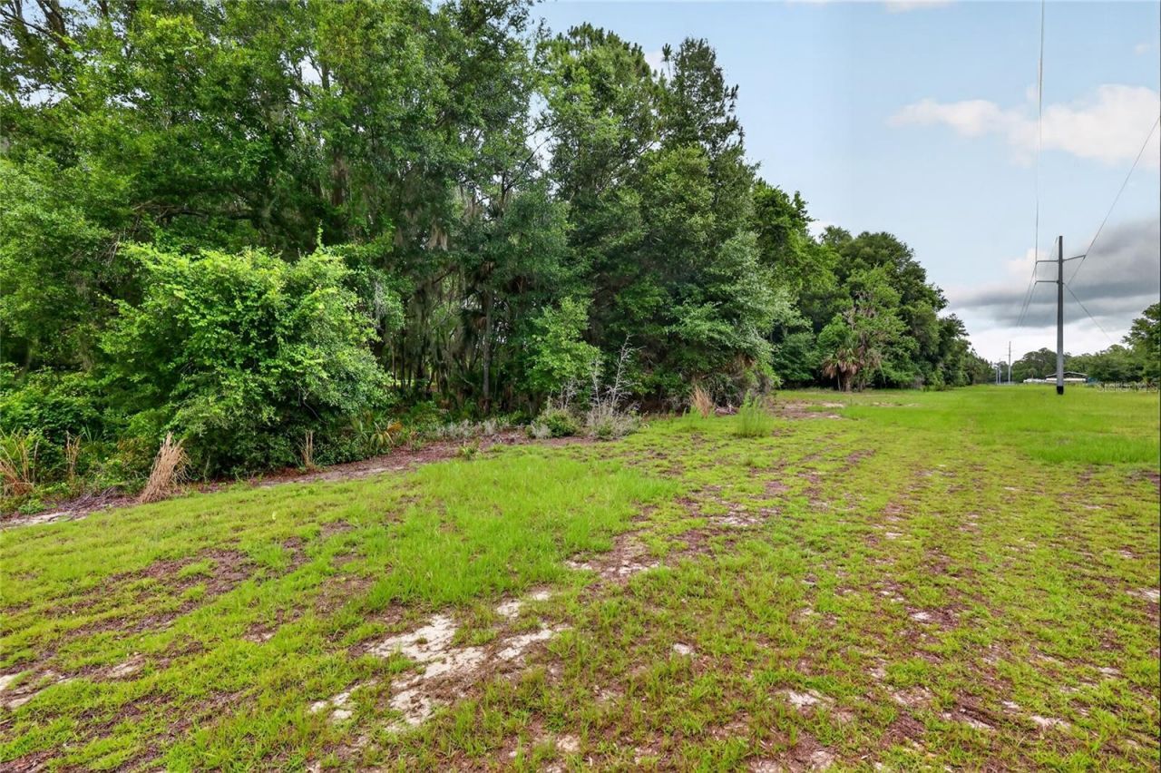 Kilker Road , Paisley, FL 32767 Photo