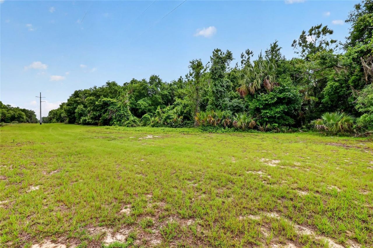 Kilker Road , Paisley, FL 32767 Photo