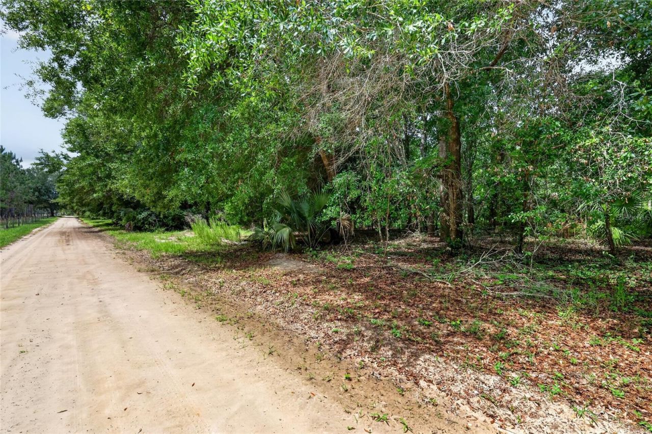 Kilker Road , Paisley, FL 32767 Photo